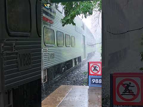 Rain Storm With DPU Foreign Power, Amtrak, VRE Inclement Weather #shorts