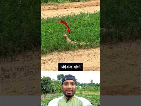 ভাইরাল সান্ডা #shorts #youtubeshorts #trend
