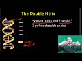 DNA Structure and Replication Concepts