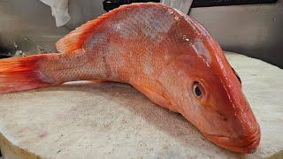 SH Fresh & Fish  is live Red Snapper Fish Cutting#fish