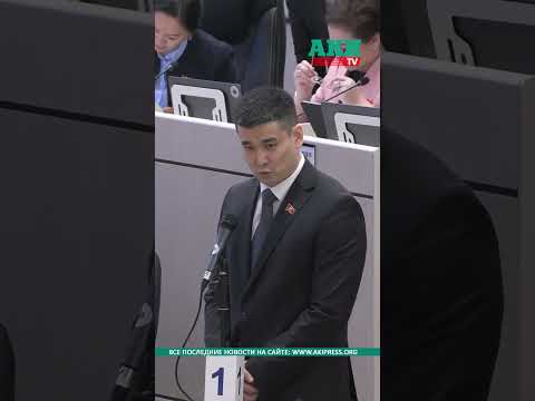 Болот Ибрагимов: Патрульные остановили одну машину, а на штрафстоянку отправили другую