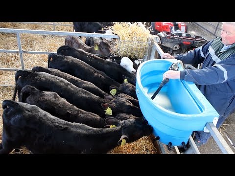 JFC ATV Milk Kart 340 Litres with Pump