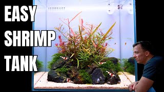I MADE AN ''ALL IN ONE'' SHRIMP TANK FOR CRYSTAL RED SHRIMP & TINY FISH