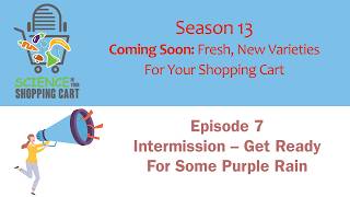 SIYSC | Season 13: Fresh, New Varieties || Episode 7: Intermission – Get Ready for Some Purple Rain