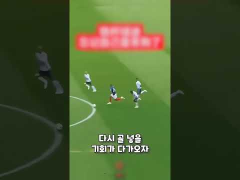 찐으로 축구를 사랑하는 댕댕이