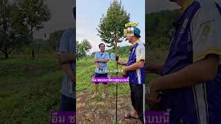 4ปี5เดือน ทุเรียนสาวใครว่าดอกมายาก ต้นฤดูตะวันออก