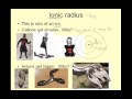 Periodic Table Concepts and Trends