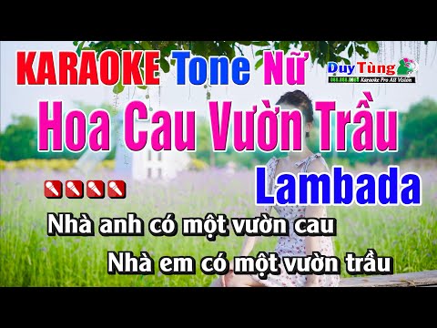 Karaoke || Hoa Cau Vườn Trầu ( Lambada ) Tone Nữ || Nhạc Sống Duy Tùng