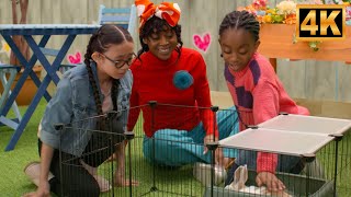 Aunty B's House Bunny Love, A Fun and Caring Video for Kids