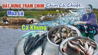 NGỠ NGÀNG XỨ RỪNG TRÀM CHIM MÙA LŨ VỀ - ĐẶC SẢN ĐỒ RỪNG CÁ ĐỒNG, CHIM CHUỘT Ở CHỢ TAM NÔNG