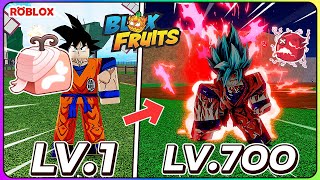 💠ใช้ผลความเจ็บปวด! ฟาร์มเวล 1 ถึง 700จะโหดเเค่ไหน?👒ใน BLOX FRUITS ᴴᴰ