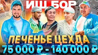 ИШ БОР! ПЕЧЕНЬЕ ЦЕХДА (ОЙЛИГИ 75 000 ₽ - 140 000 ₽)
