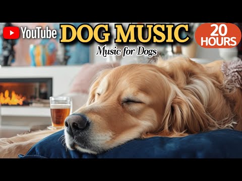 강아지가 좋아하는 음악💖🦮강아지 수면 음악 20시간 연속🎵🐶강아지 스트레스를 줄여주는 힐링 피아노💤긴 외출 시 추천해요 by 힐링메이트