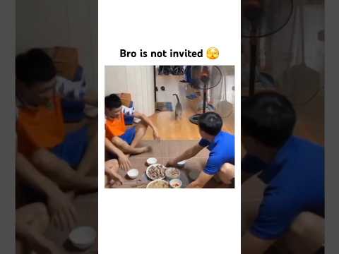 A GUEST who comes during MEALTIME 🍽️