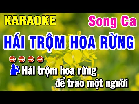 Karaoke Hái Trộm Hoa Rừng Nhạc Sống Song Ca | Huỳnh Lê