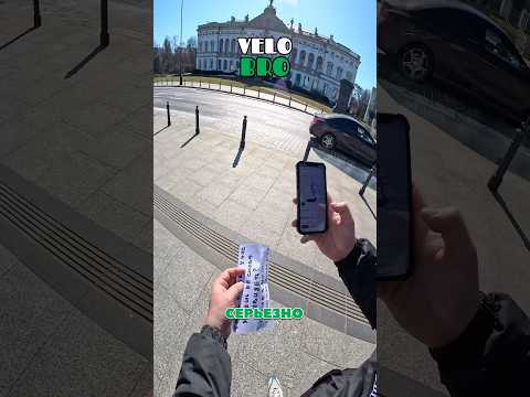 #доставка #курьер #велокурьер #минибро #чихуахуа #курьерскиебудни