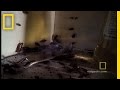 Understanding Cockroaches