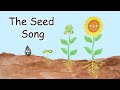 Plant Growth Essentials and Needs
