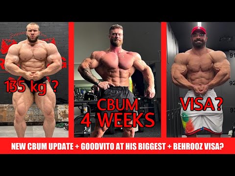 Even Ramon Fans Think CBUM Will Win After New Update + GoodVito at his Biggest + Behrooz Visa?