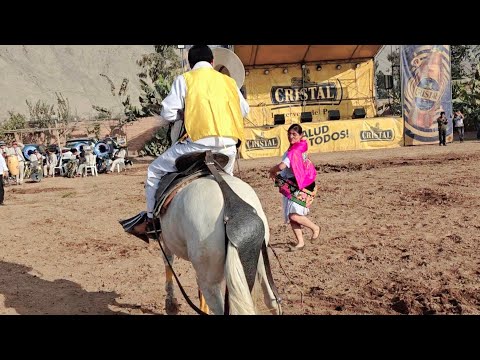 CABALLO DE PASO BAILA HUAYLAS - ASES DE HUAYUCACHI 2025