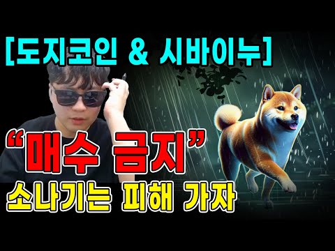 [긴급][도지코인][시바이누] “매수 금지” 소나기는 피해가자! 손실을 최소화하는 방법! 100% 정확한 차트 분석 필수 시청 #코인분석 #코인추천