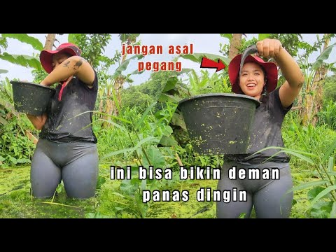 JELAJAH SUNGAI , SAWAH DAN RAWA SAMBIL MENCARI IKAN