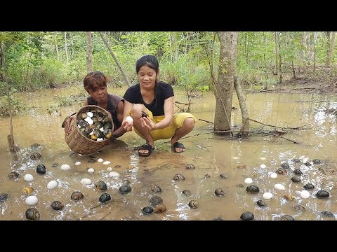 Survival in the rainforest, Pick egg and snail for food in jungle, Cooking egg with snail for dinner