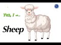 Câu hỏi về sở thích cừu