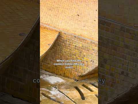 It was so small to spot! ๐ณ