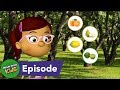 Fruits and Vegetables: Origins and Growth