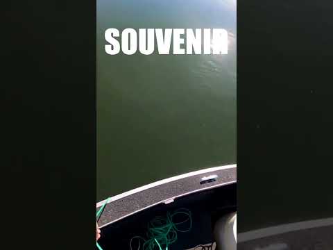 The one fish you never want in your net