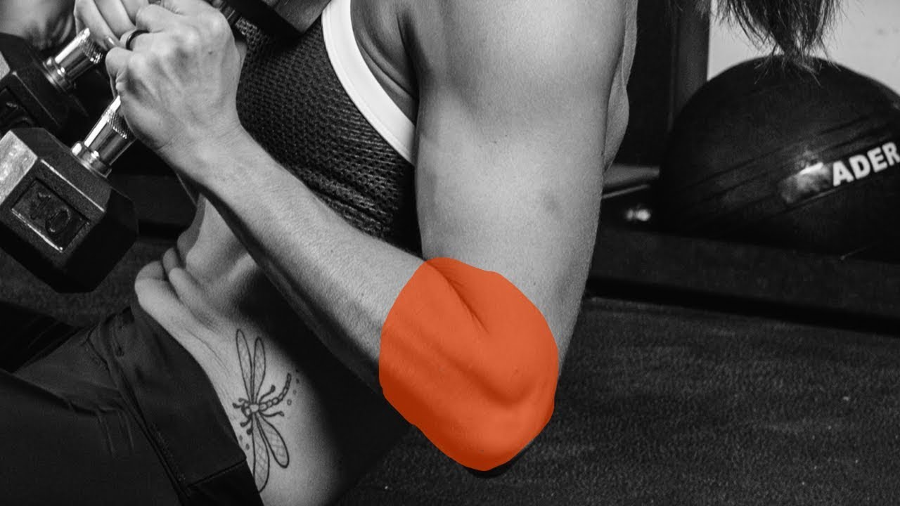 19 Exercises To Fix Elbow Pain Redefining Strength