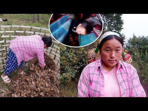 Jina collecting dry leaves to make baby sheep warm@Sanjipjina440@AloneAdhirajnepal