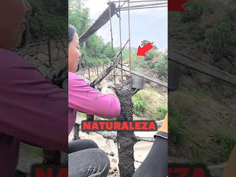 El Truco para CONVERTIR Cemento en Madera 😱