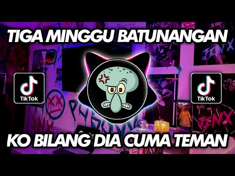 DJ TIGA MINGGU BATUNANGAN X KO BILANG DIA CUMA TEMAN HAPPY TEAM GAK VIRAL TIKTOK