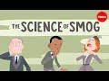 Understanding Smog: Causes, Effects, and Solutions