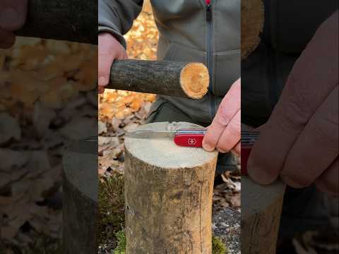 Genius Life Hack: How to Split a Log with a Small Knife. #survival #campping #lifehacks