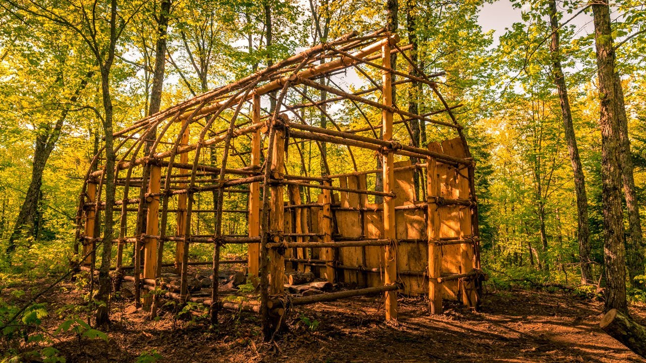 Native American Longhouse Build, Ep2 Natural Materials, Ash Tree Bark, Bushcraft Shelter
