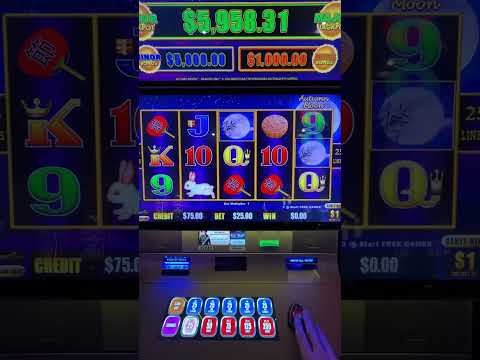 I bet $100 on a single slot #Betting #Slots