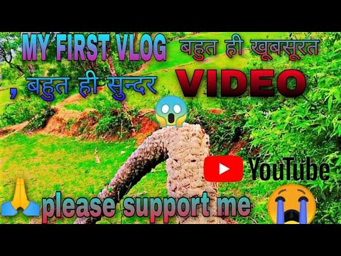 my first vlogs❤ please support me🙏#trend #viral #video #india #video #vlog #vlogs!