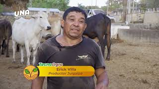 TECNOAGRO 2026 🌱 | Experiencia: Mejora en la producción ganado con buena nutrición y sanidad