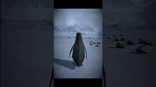 But Why? #penguin #mountains #darkfantasyisland #butwhy #nihilistpenguin #philosophy