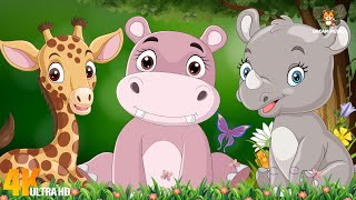 Colorful Animal World: Hippo, Giraffe, Elephant, Lion, Tiger, Puma, Lynx - Animal Videos