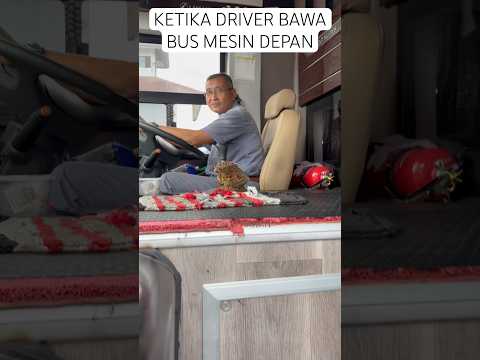 Bus ini menggunakan sasis mercedez dan bermesin depan