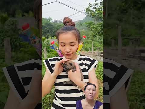 Cho một con Thôi nghen#shortsvideo