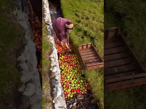 100% natural delicious apple juice.๐๐๐