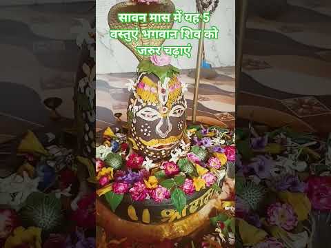 सावन मास में यह 5 वस्तुएं शिव जी को अर्पित करने से जीवन के सारे दुख संकट दूर होते हैं