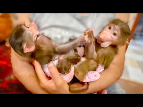 Степа и Маня делятся с вами друзья, ПОЗИТИВОМ и СЧАСТЬЕМ