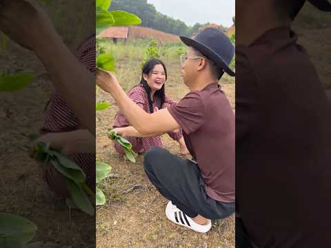 Good Food Ignored… Eating Leaves Instead 🤣 This Is Hopeless! #familyfun#humor#cute#shorts