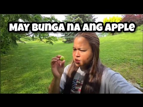 DAMI BUNGA | BALIK TRABAHO NA TAYO - Pinay sa Amerika